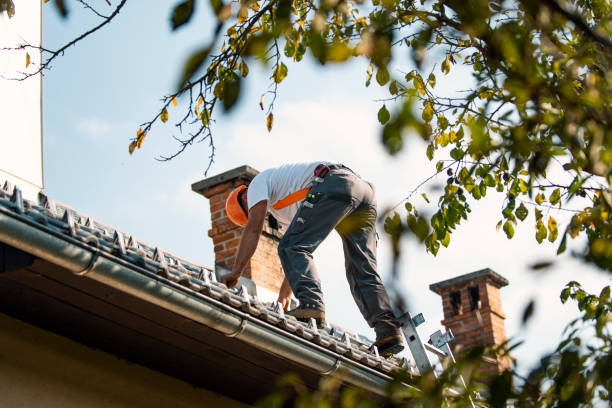 Best Flat Roof Repair Services  in Bothell East, WA